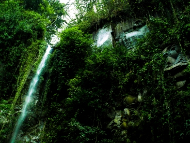 waterfall in  Bali jungle