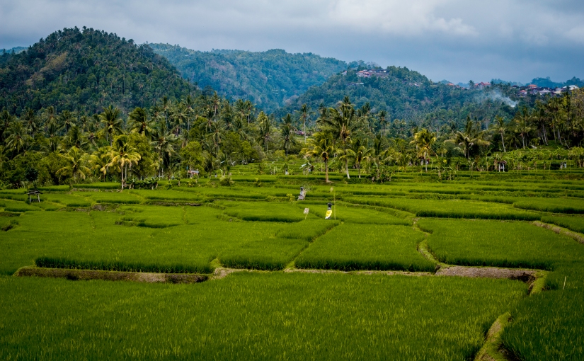 Bali Roadtrip – From the South to the North
